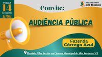 Audiência Pública