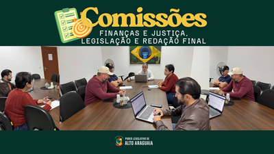 Comissões analisam projetos voltados à inclusão, cultura e direitos da pessoa idosa em Alto Araguaia