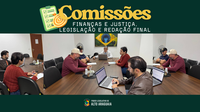 Comissões analisam projetos voltados à inclusão, cultura e direitos da pessoa idosa em Alto Araguaia