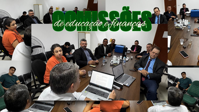 Comissões de Justiça e Finanças analisam projetos importantes para Alto Araguaia