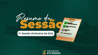 Resumo da 11ª Sessão Ordinária