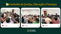 Reunião das Comissões