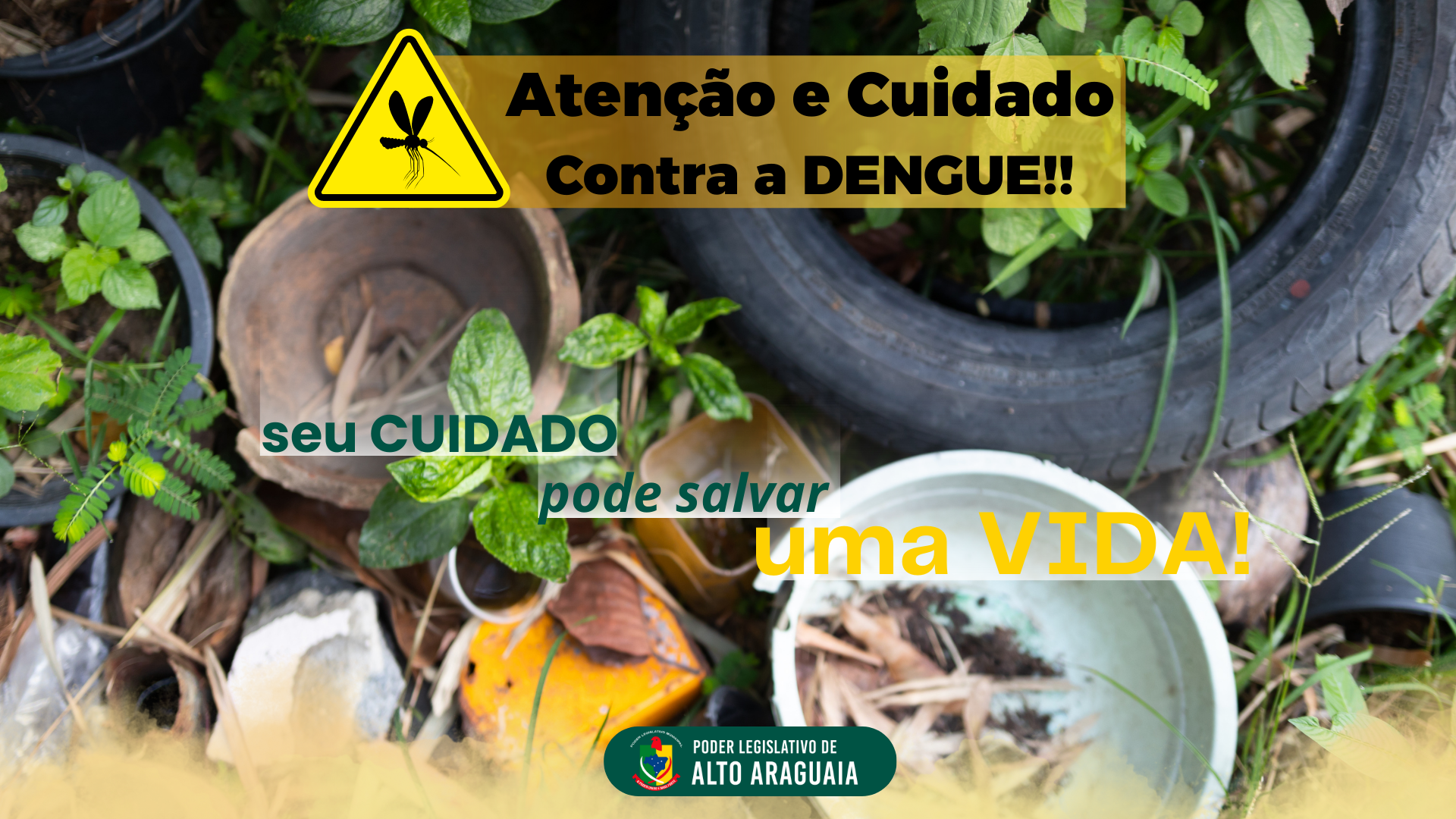 Todos contra a DENGUE!!